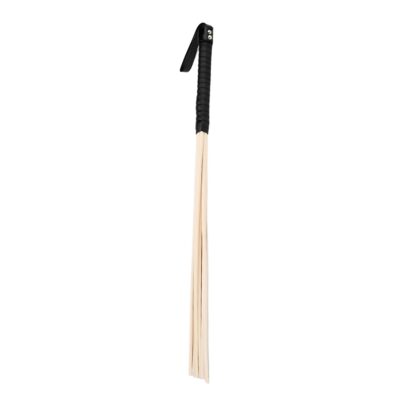Bound to Please Multi-Strand Spanking Cane